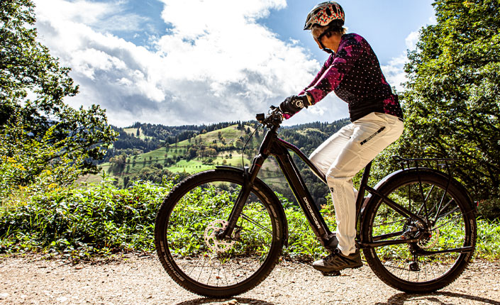 Ride.E SUV Trapez