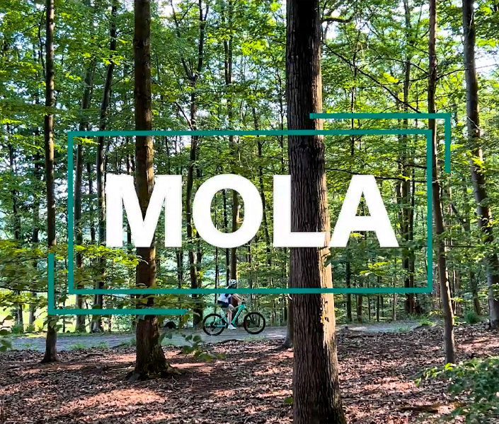 Mola Enduro MTB